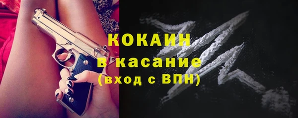 сатива Богородицк