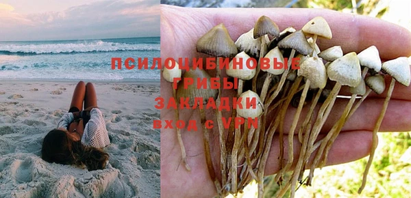 сатива Богородицк