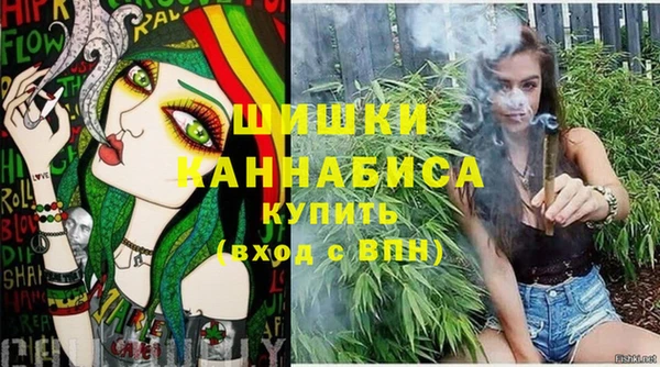 сатива Богородицк