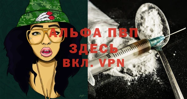сатива Богородицк