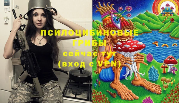 прущая мука Богородск