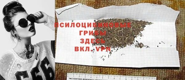 сатива Богородицк