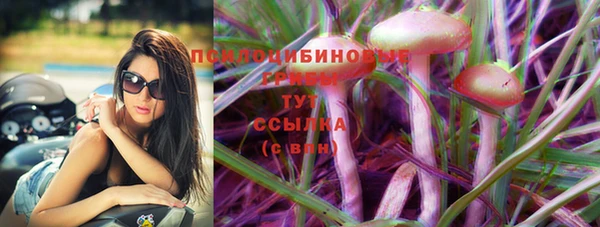 сатива Богородицк