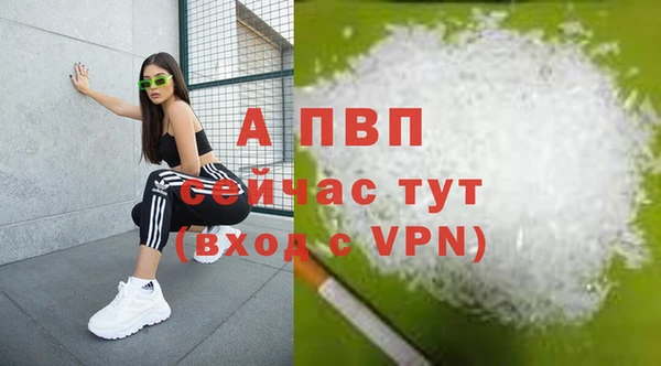сатива Богородицк