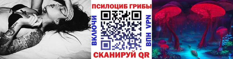 Галлюциногенные грибы мухоморы  Дмитриев 